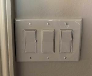 Lutron Dimmer/Fan Control Switch