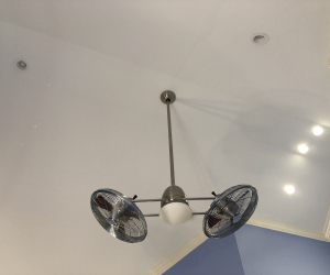 Special Fan