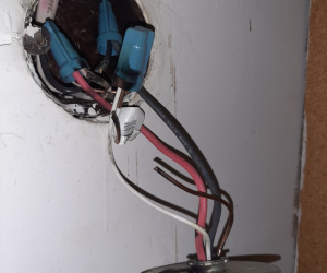 Stove Top Connector 240v Short