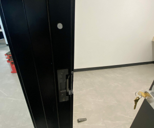 Door Strike