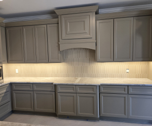 Under Cabinet LED light