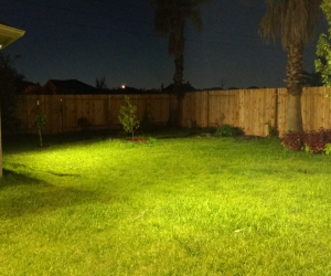 Backyard Flood Lights