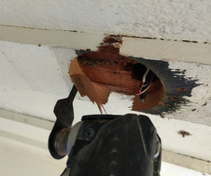 New Outdoor Electrical Box